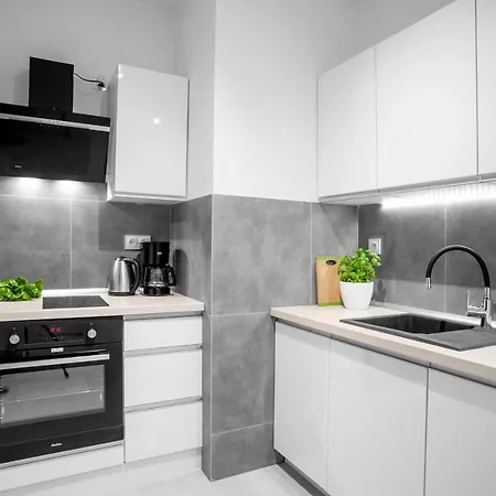 Homely Place Centrum - Stary Rynek - Parking דירה פוזנן