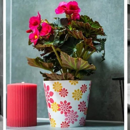 Homely Place Centrum - Stary Rynek - Parking Apartamento Poznan